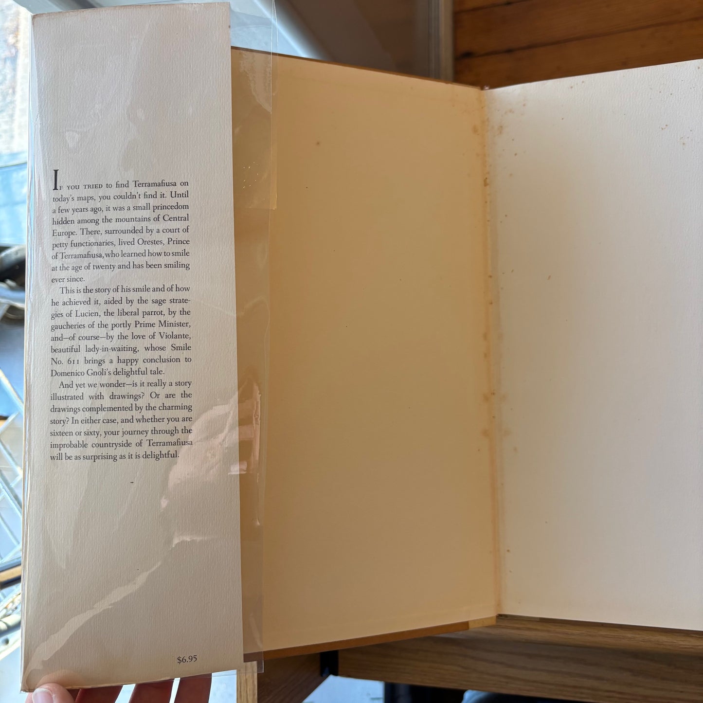 Domenico Gnoli - Orestes, or the Act of Smiling - First Printing
