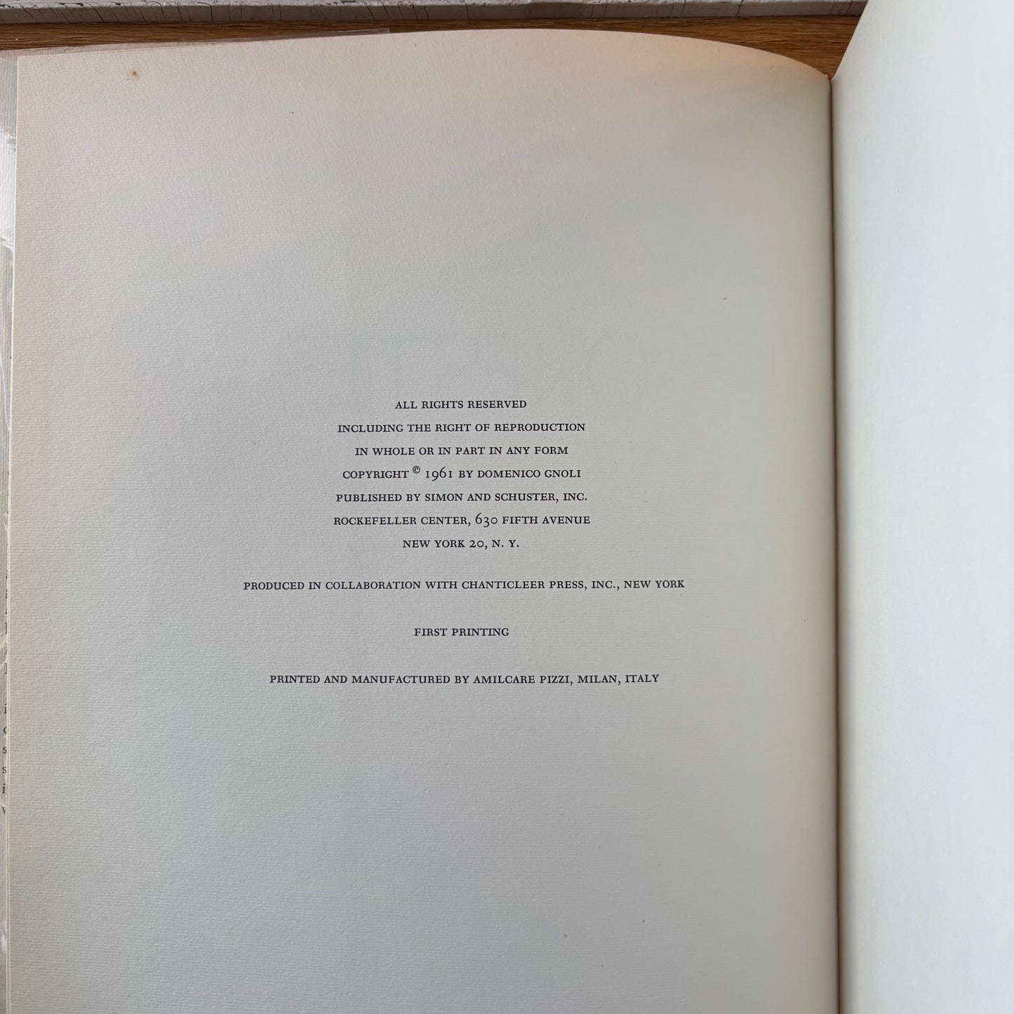 Domenico Gnoli - Orestes, or the Act of Smiling - First Printing