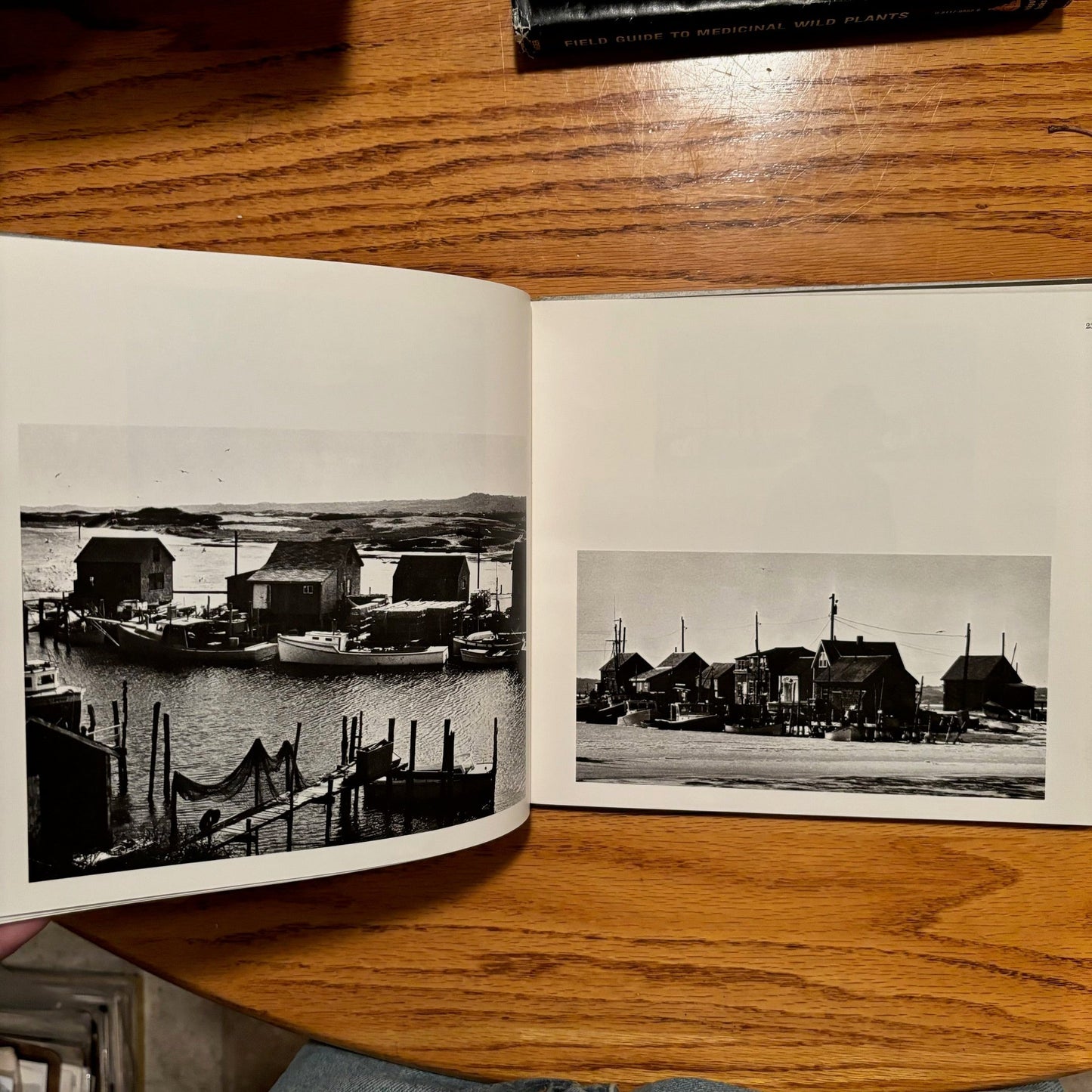 Nancy Safford - Time's Island: Portraits of the Vineyard