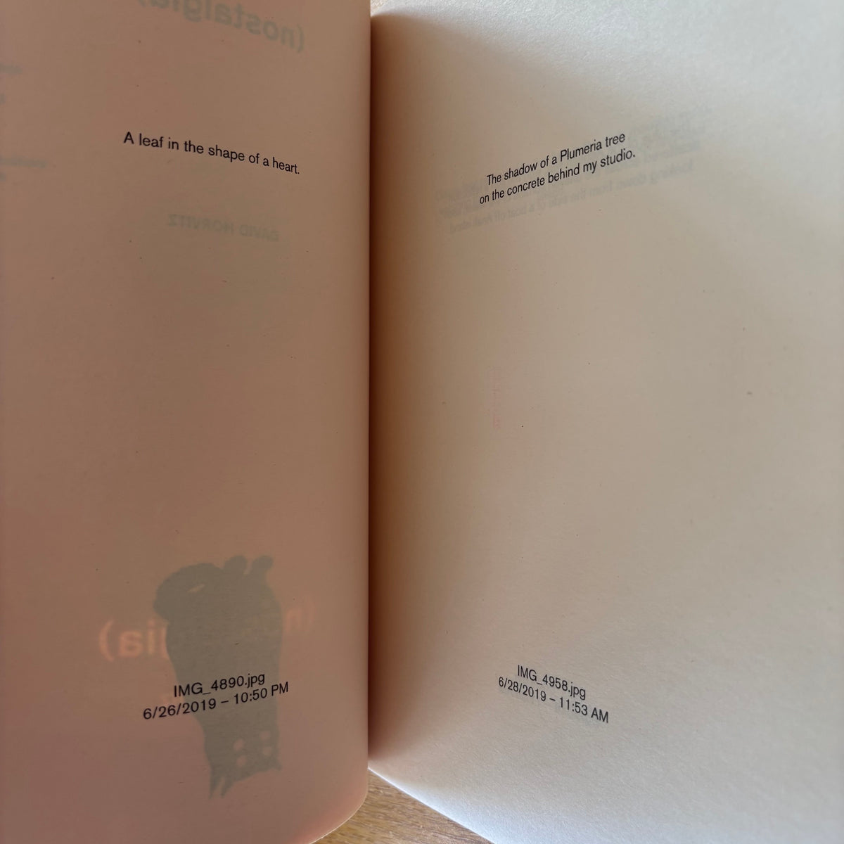 David Horvitz - (nostalgia) - First Edition
