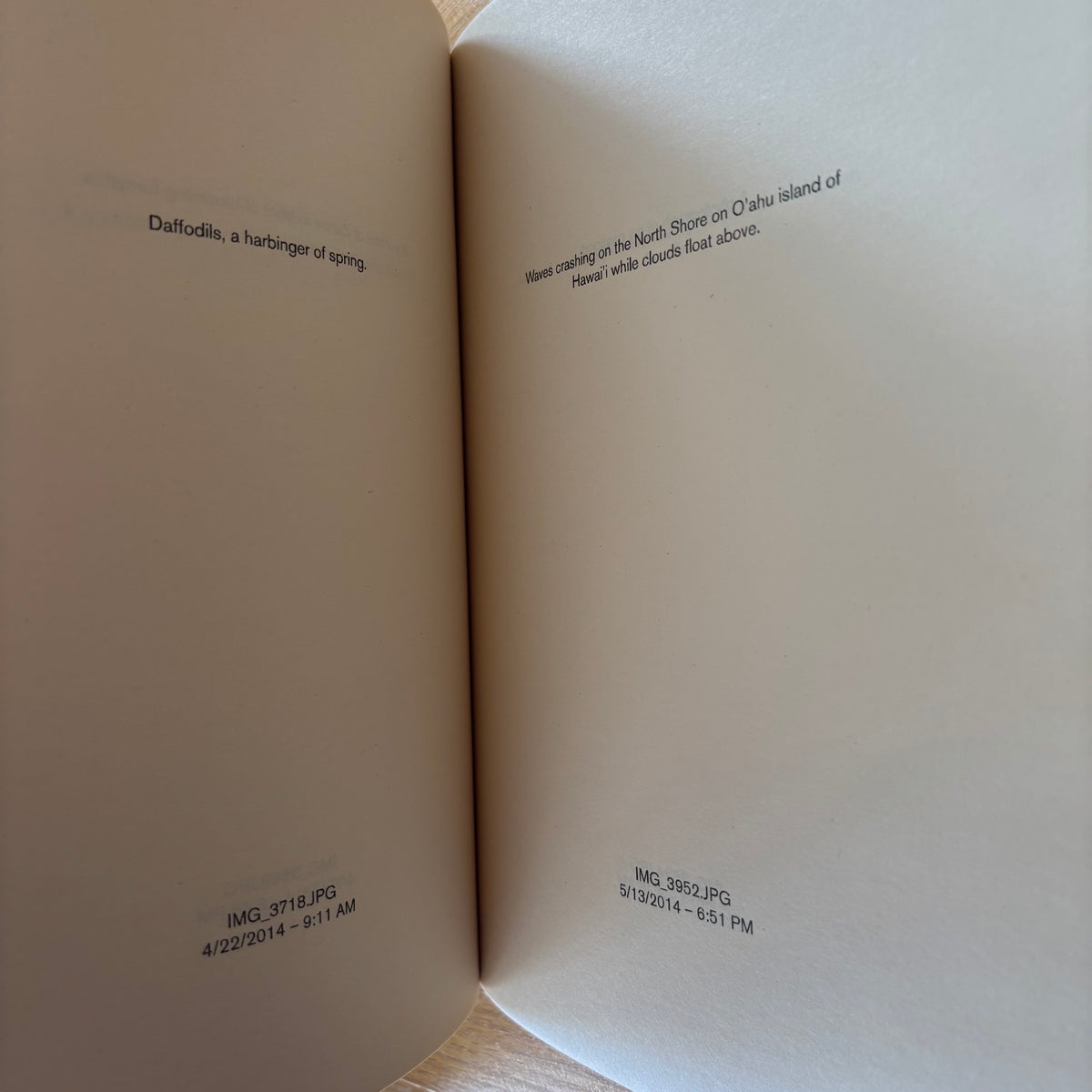 David Horvitz - (nostalgia) - First Edition