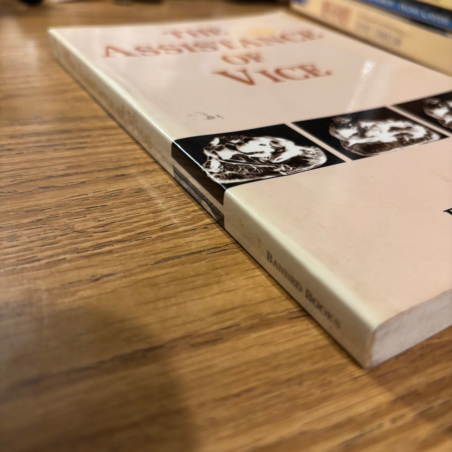 Roslyn Dane - The Assistance of Vice - First Edition