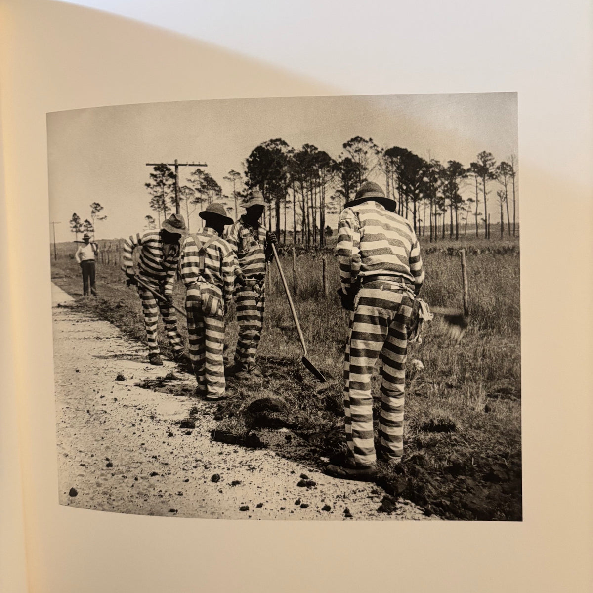 Peter Sekaer - Signs of Life: Photographs - First Edition