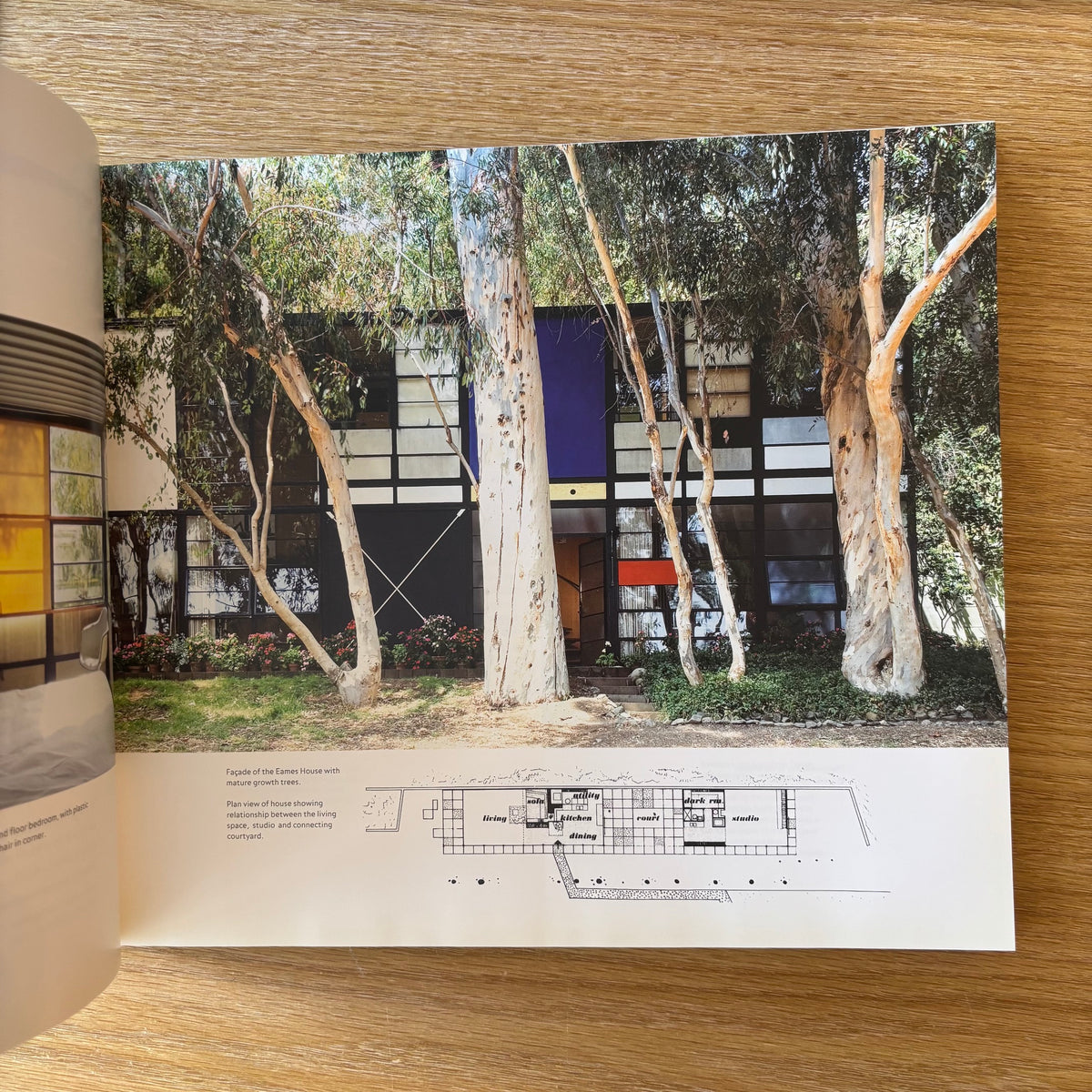 Mathias Remmele - The Furniture of Charles and Ray Eames