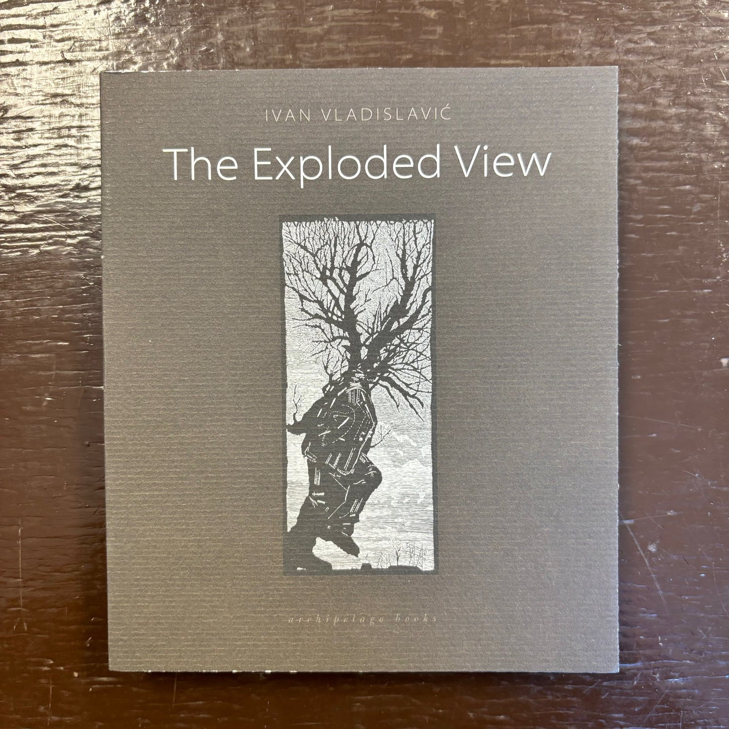 Ivan Vladislavic - The Exploded View