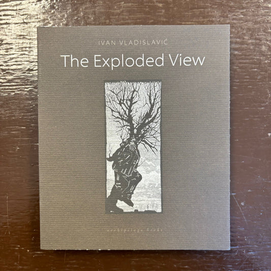 Ivan Vladislavic - The Exploded View