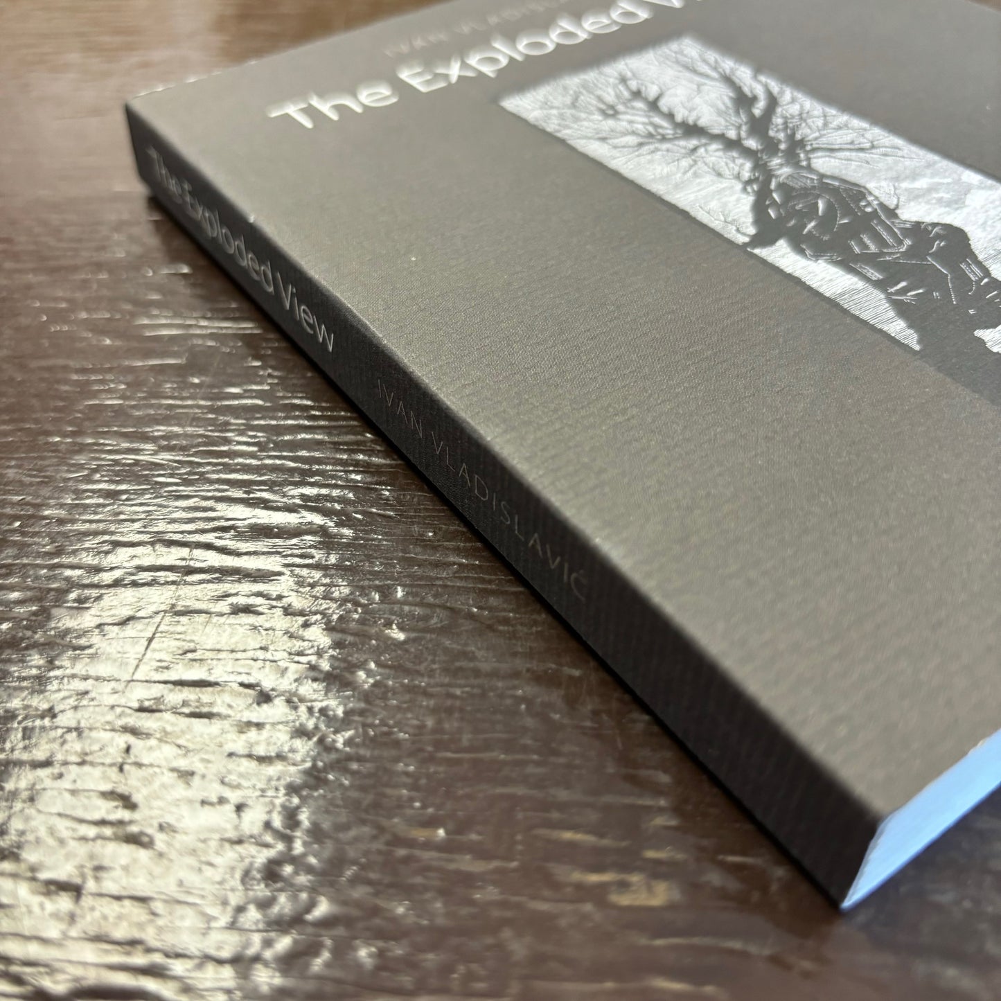 Ivan Vladislavic - The Exploded View