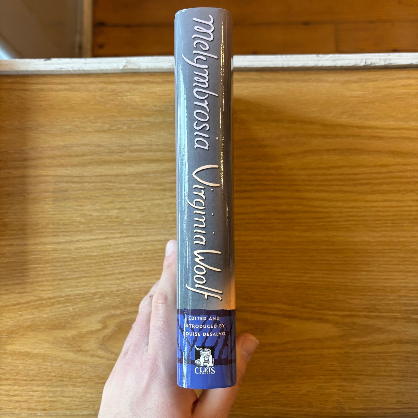 Virginia Woolf - Melymbrosia
