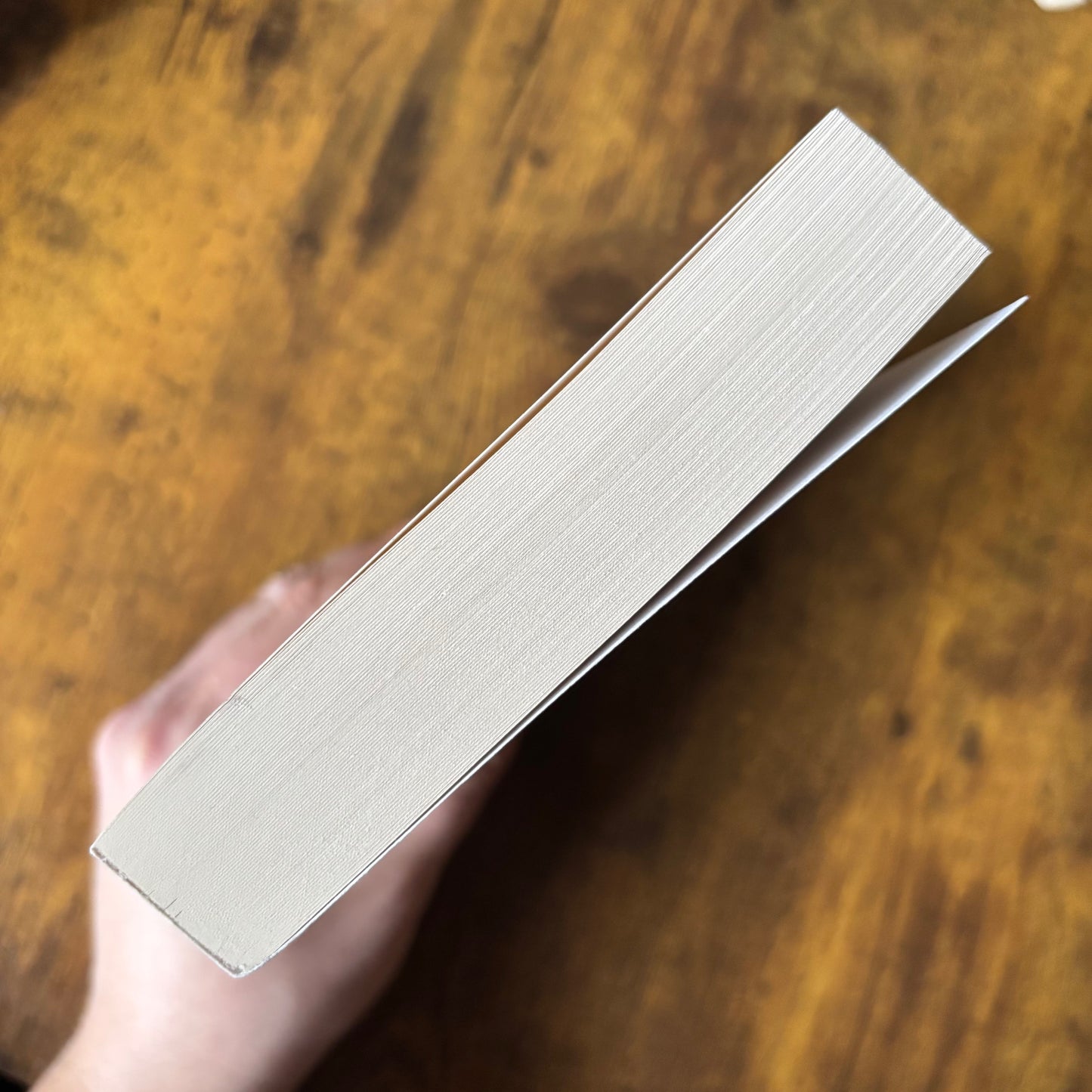 Anton Chekhov - The Complete Short Novels