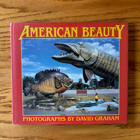 David Graham - American Beauty