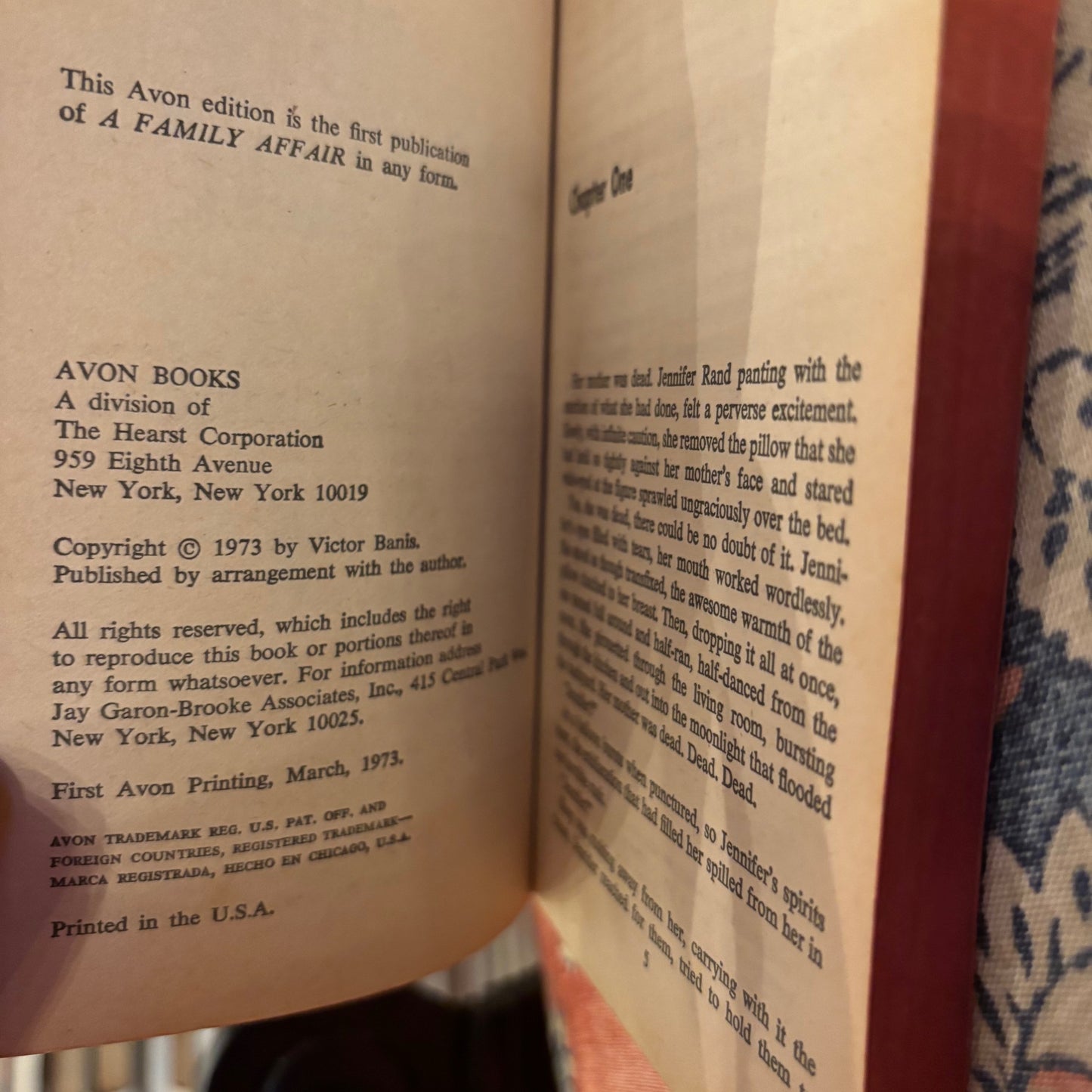 Lynn Benedict - A Family Affair - First Edition