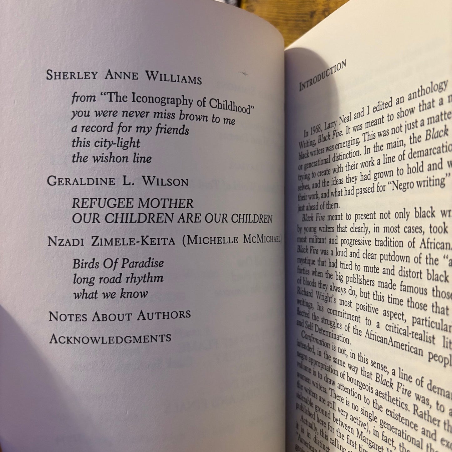 Amiri Baraka & Amina Baraka - Confirmation: An Anthology of African American Women