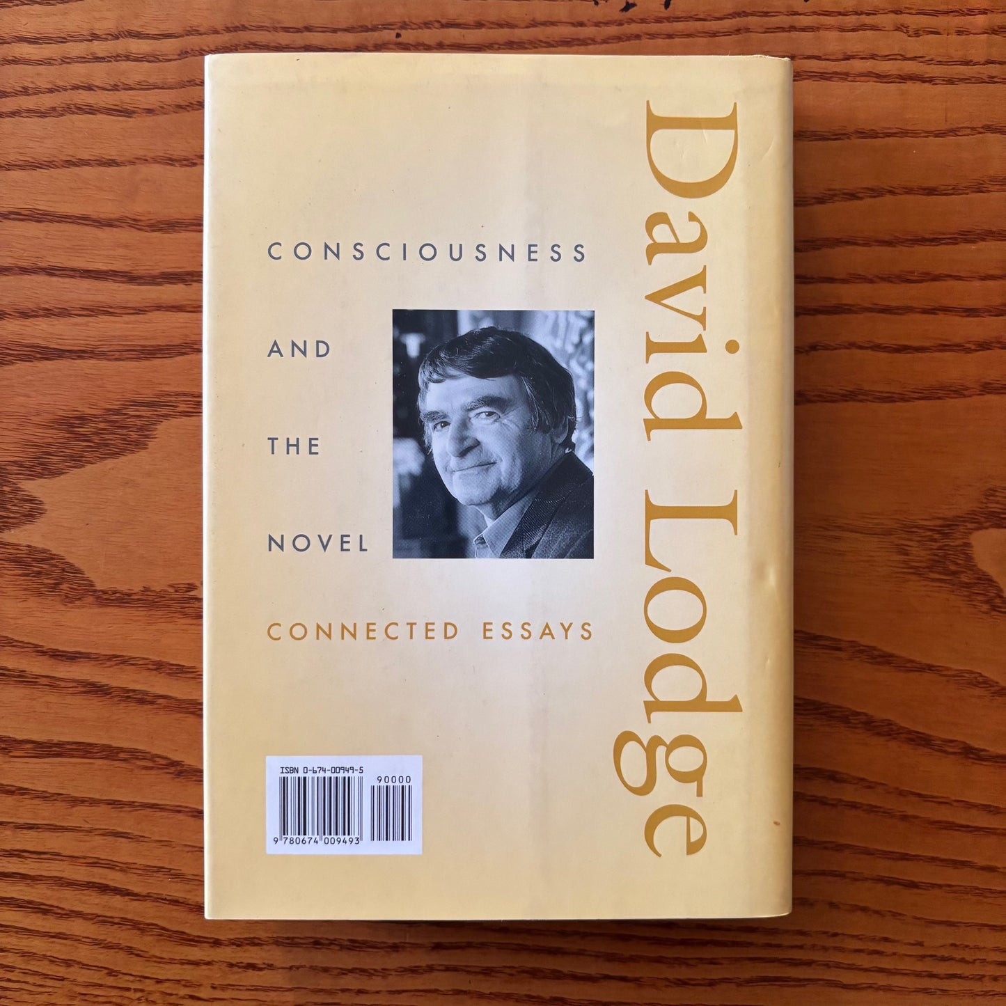 David Lodge - Consciousness and the Novel: Connected Essays