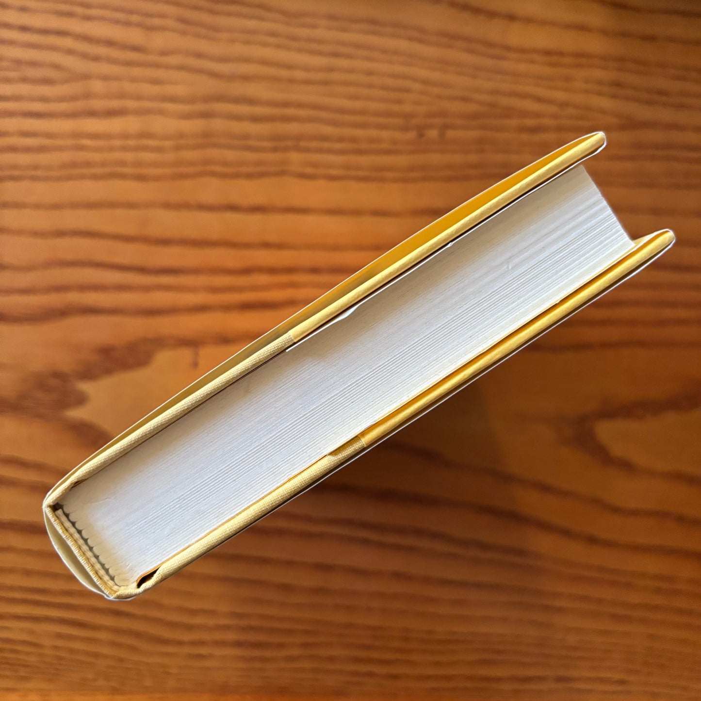 David Lodge - Consciousness and the Novel: Connected Essays
