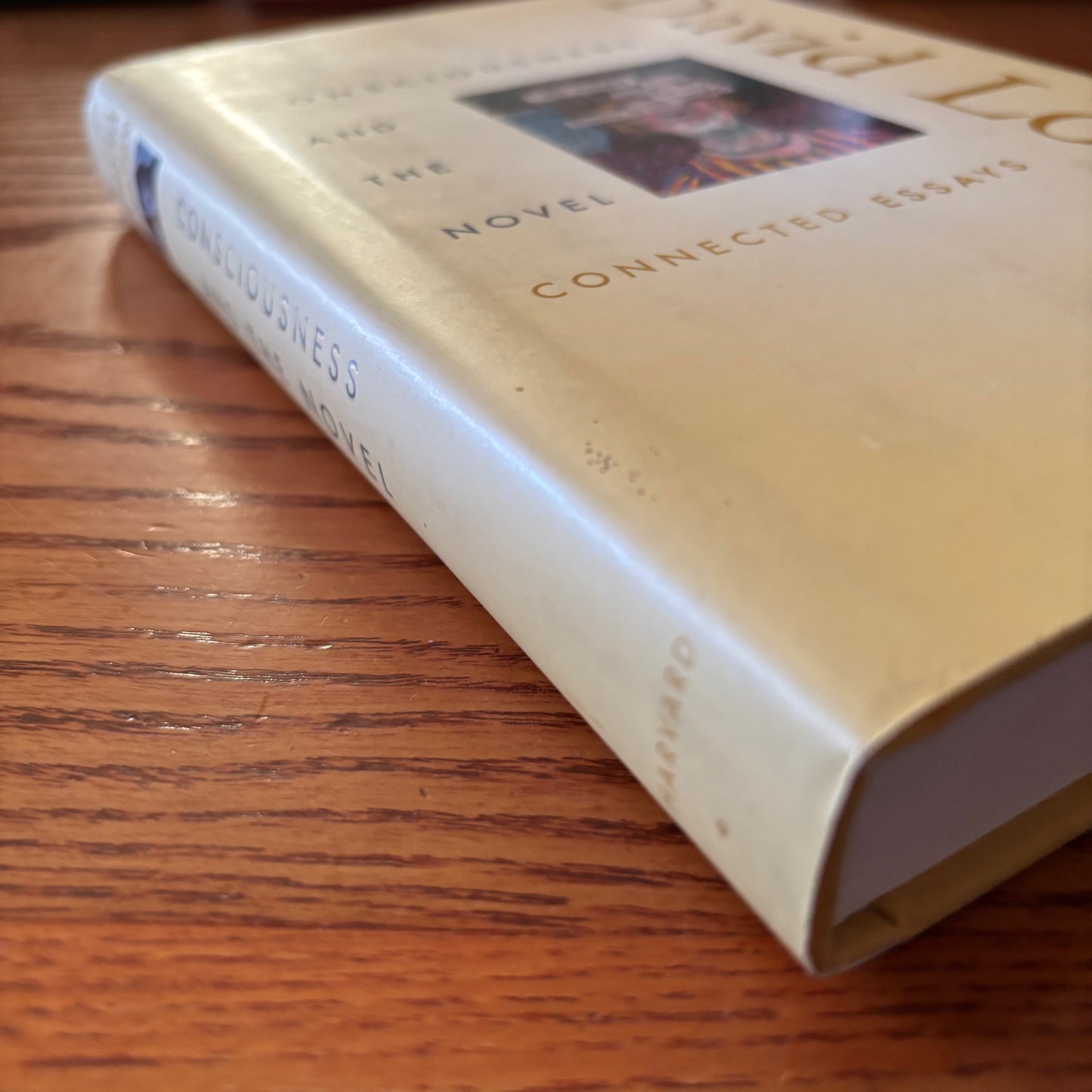 David Lodge - Consciousness and the Novel: Connected Essays