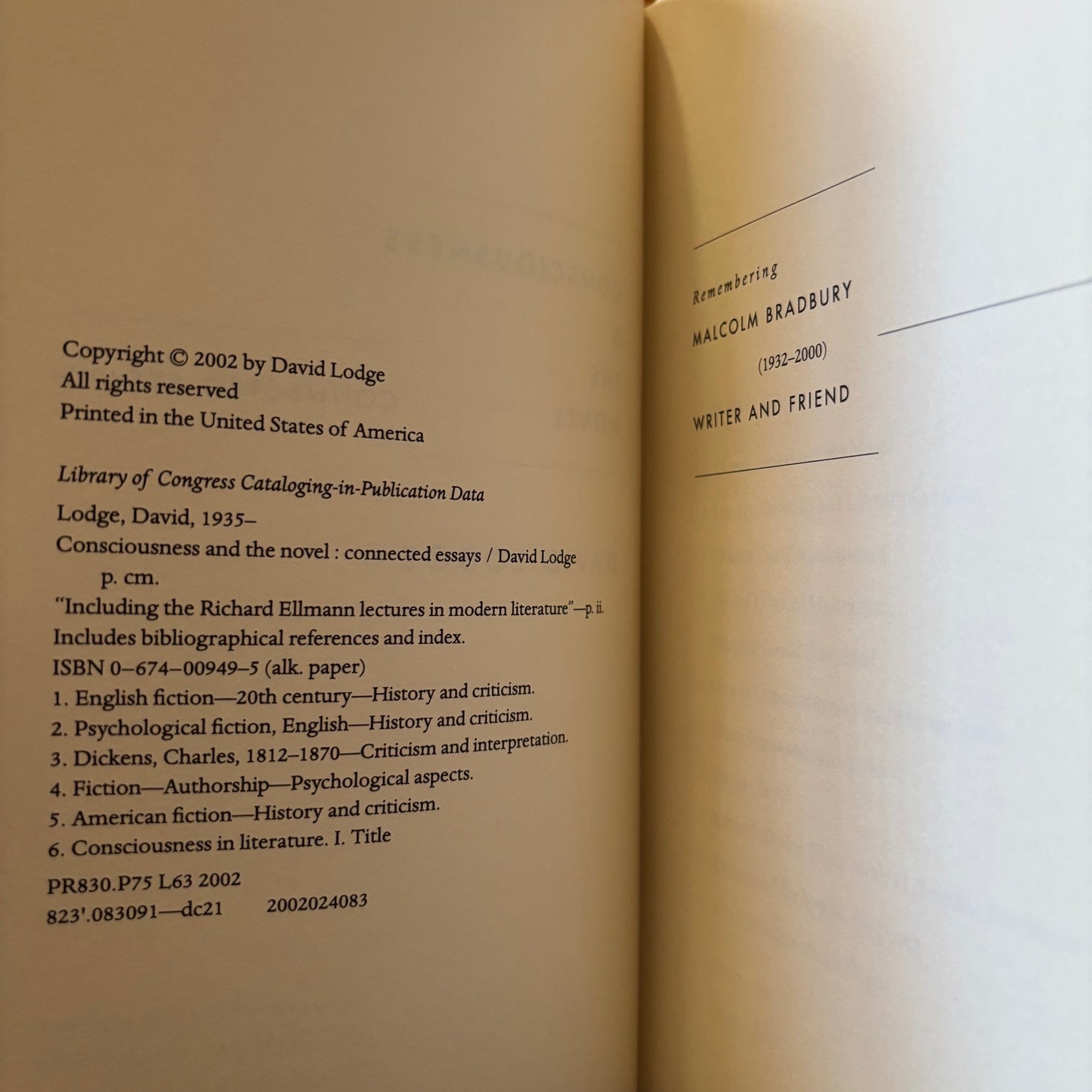 David Lodge - Consciousness and the Novel: Connected Essays