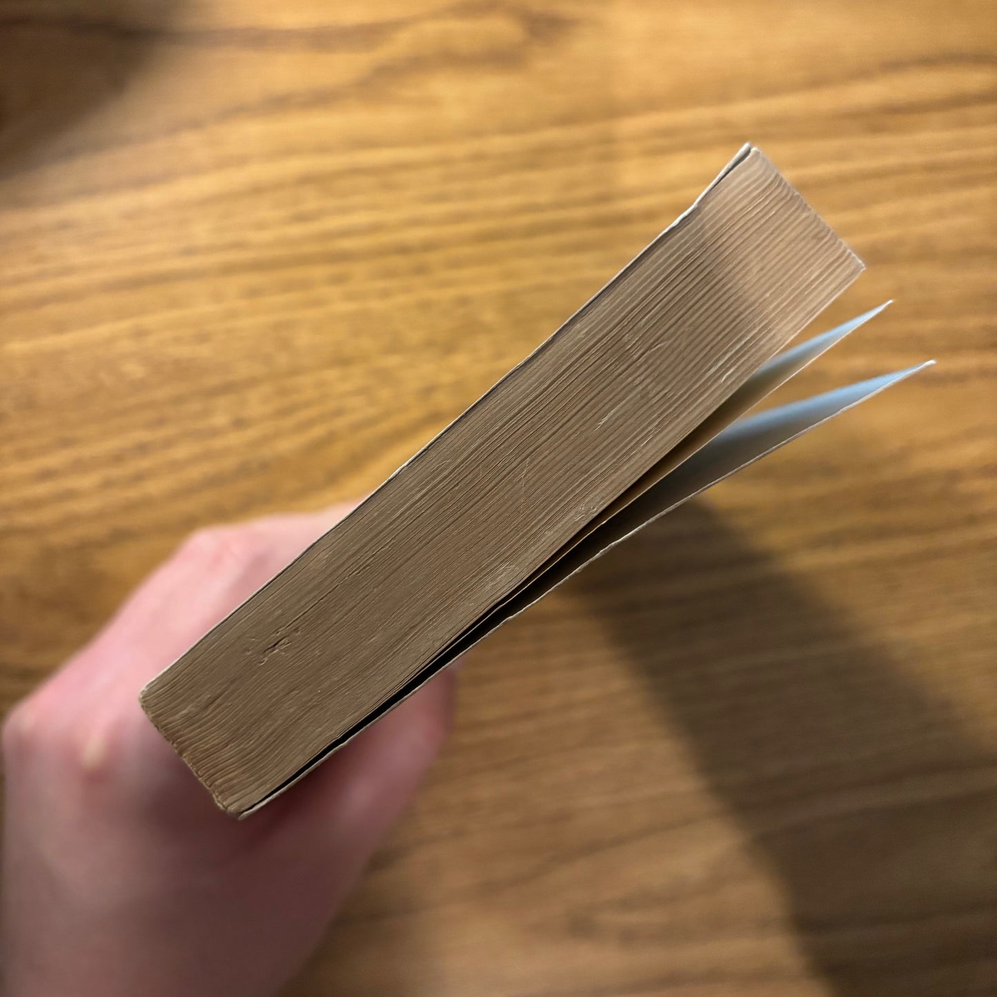 James Joyce - Ulysses (Volume II) - Odyssey Press Edition