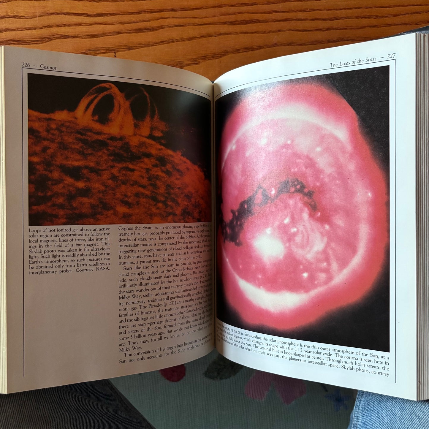 Carl Sagan - Cosmos