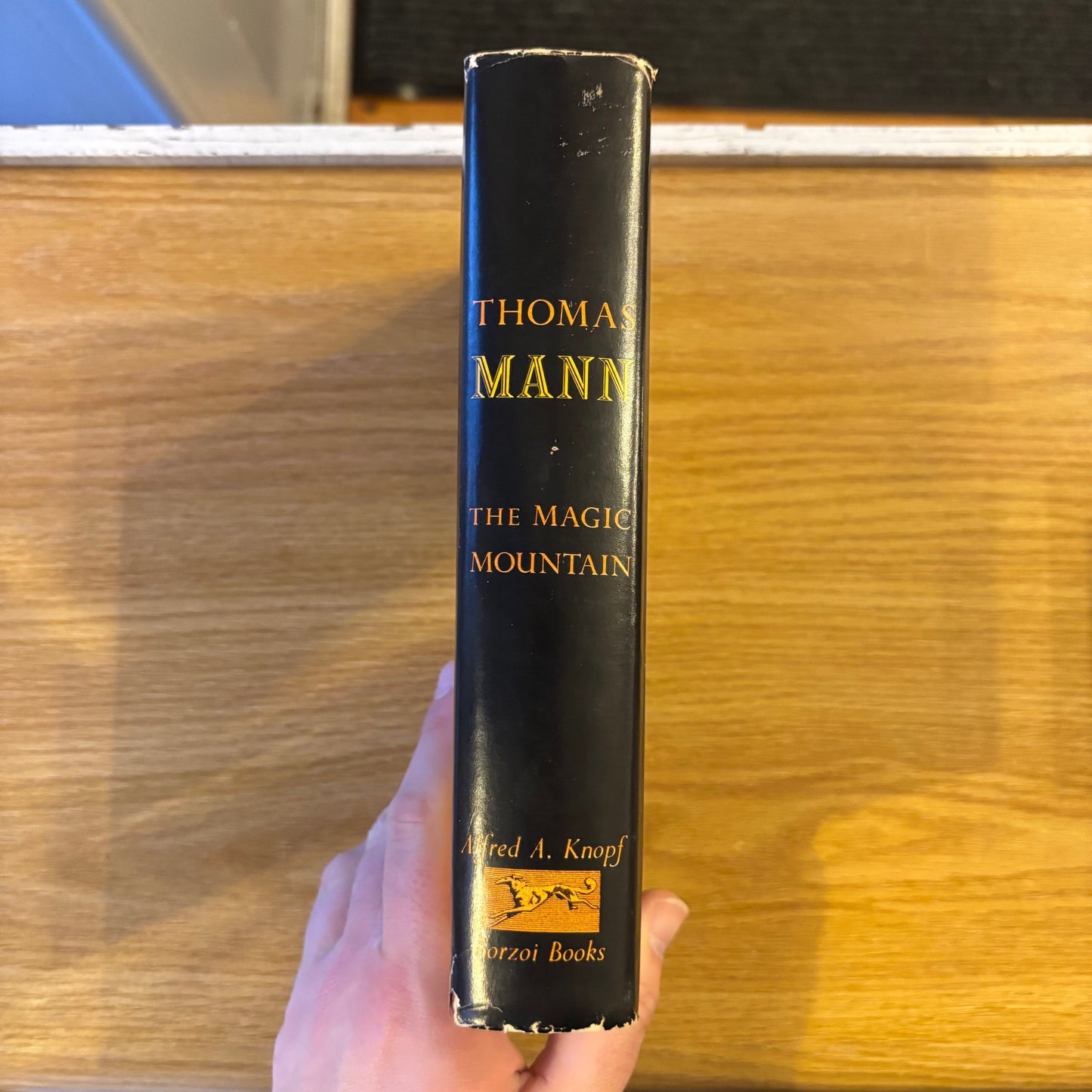 Thomas Mann - The Magic Mountain