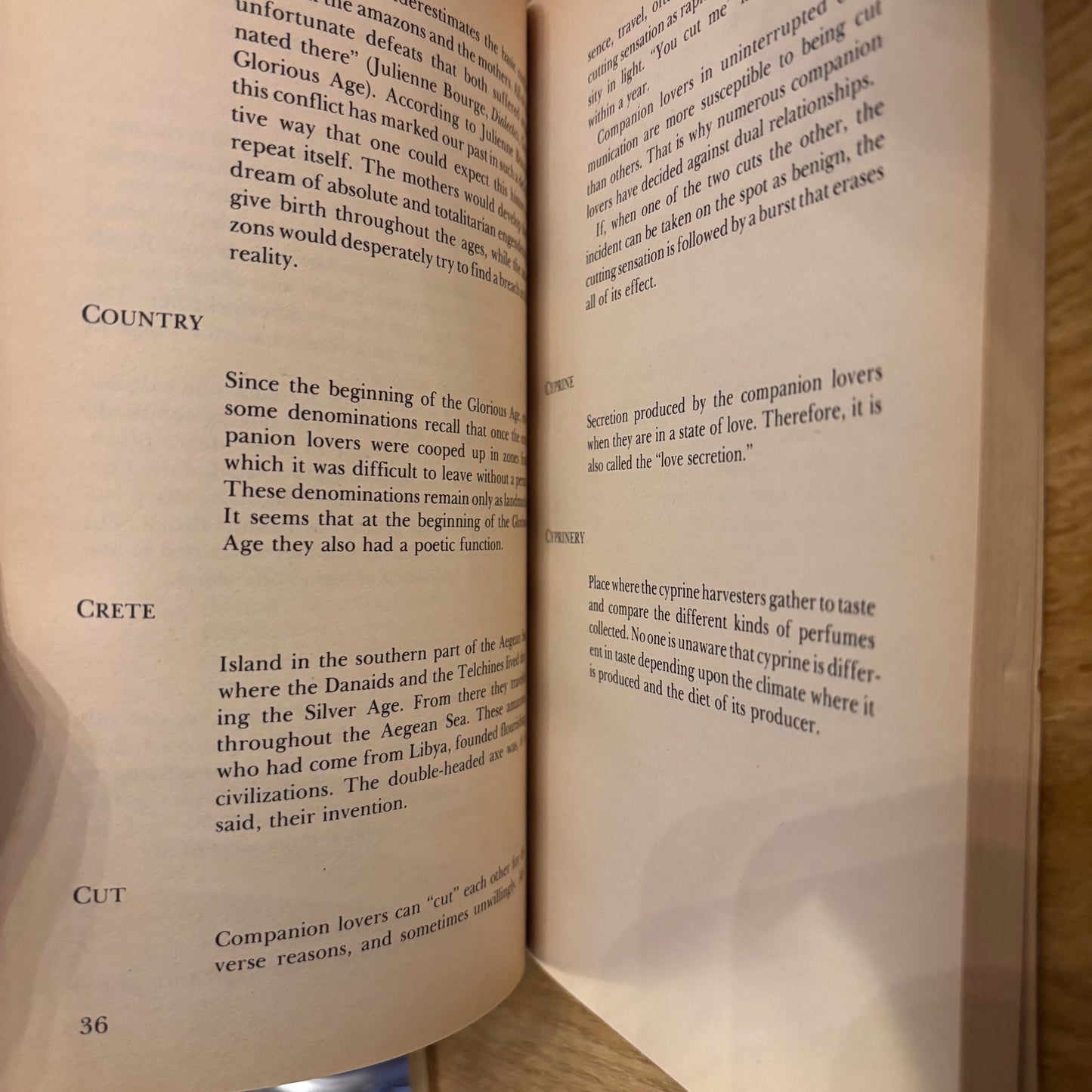 Monique Wittig, Sande Zeig - Lesbian Peoples: Material for a Dictionary - First Edition