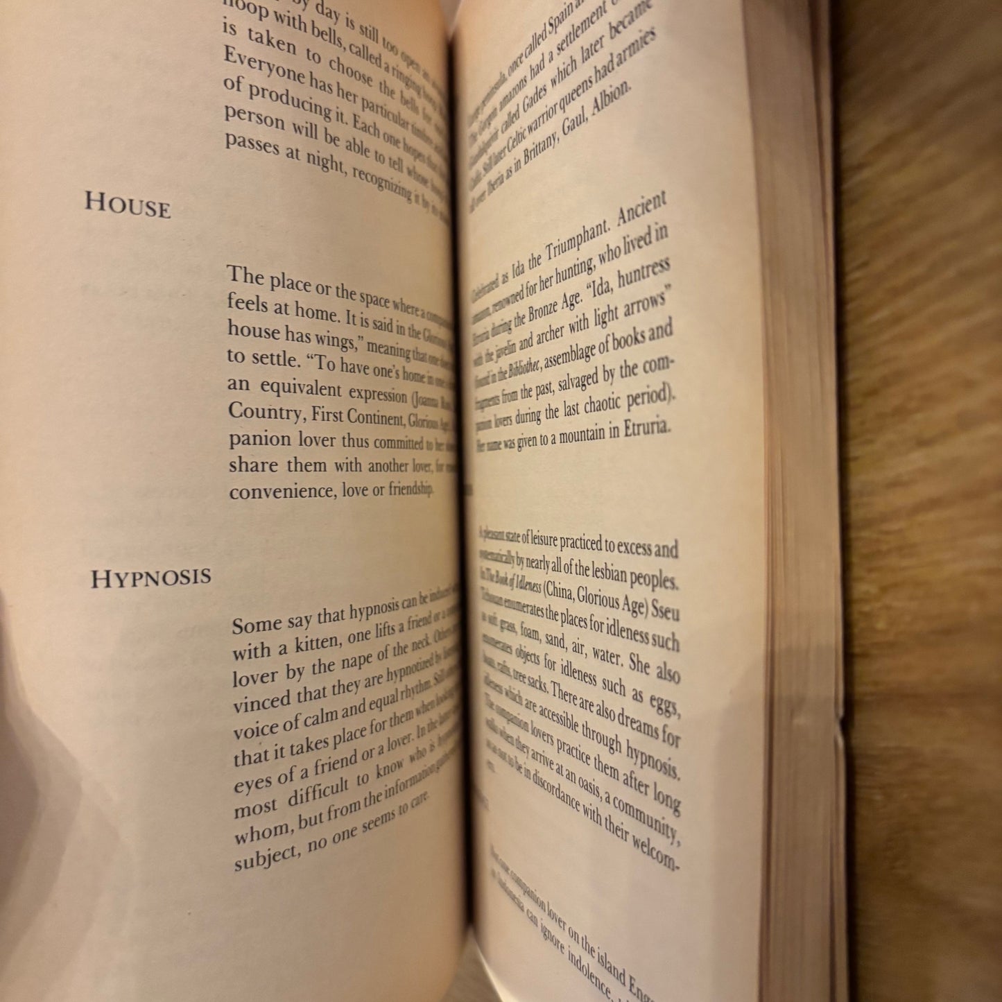 Monique Wittig, Sande Zeig - Lesbian Peoples: Material for a Dictionary - First Edition