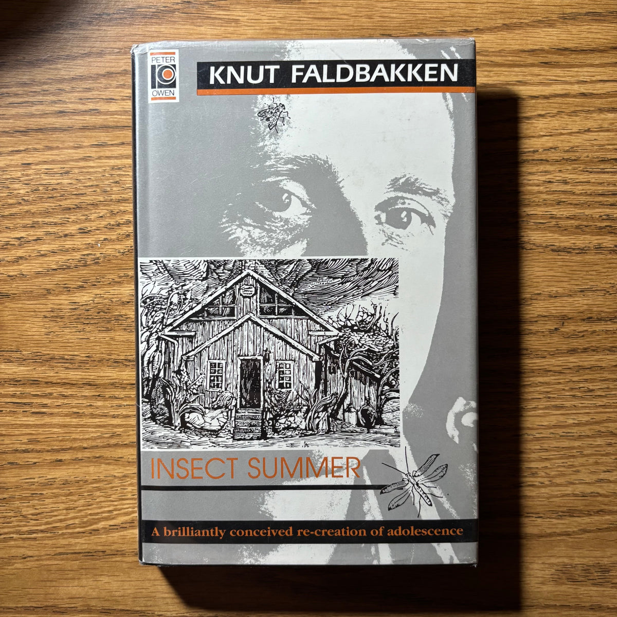 Knut Faldbakken - Insect Summer - First Edition