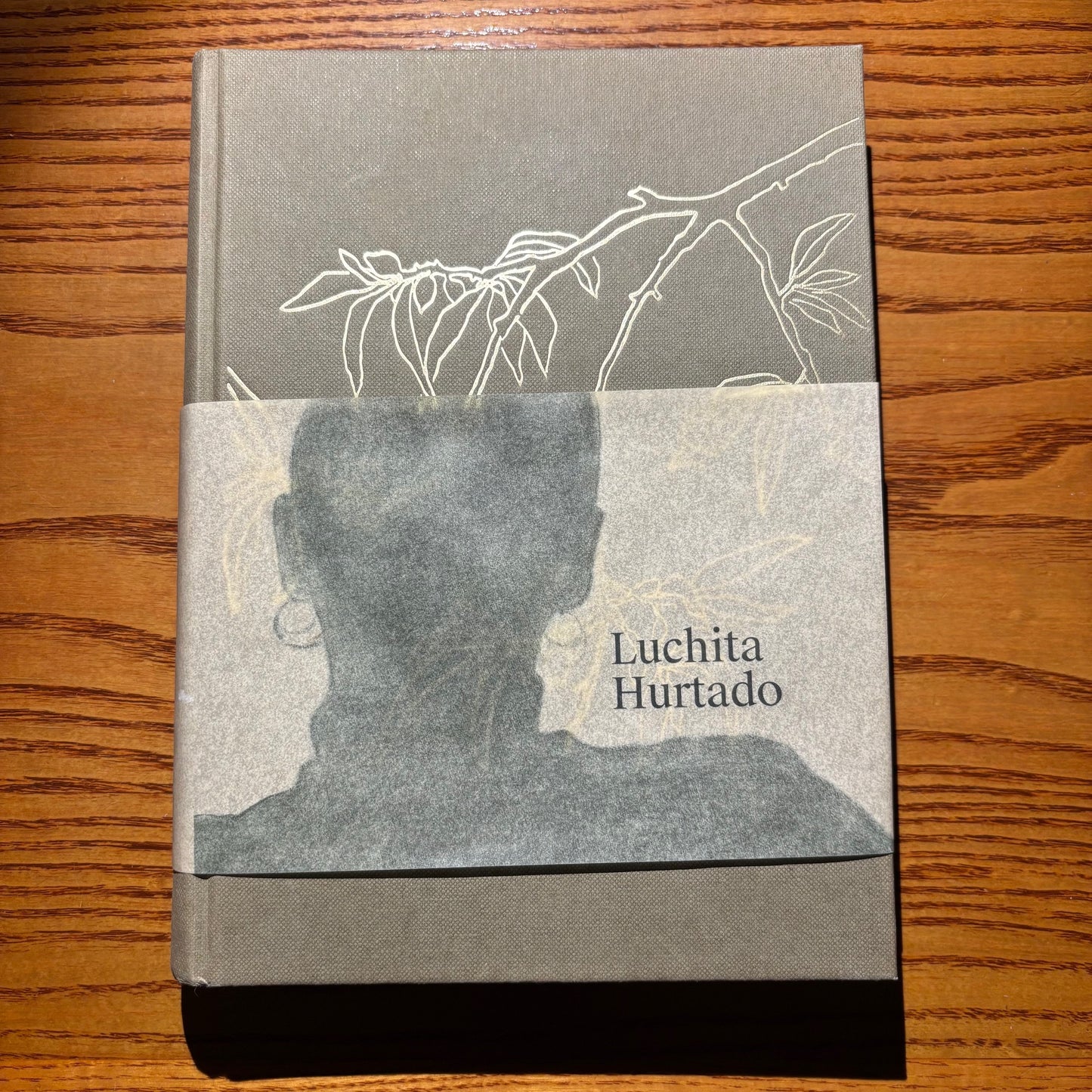 Hans Ulrich Obrist - Luchita Hurtado