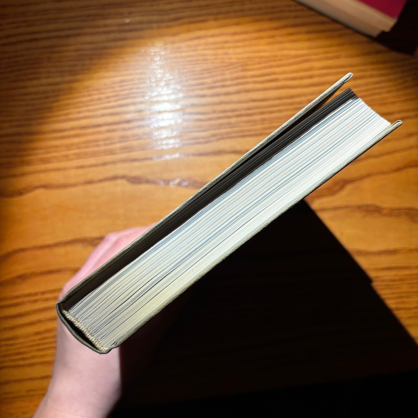 Hans Ulrich Obrist - Luchita Hurtado