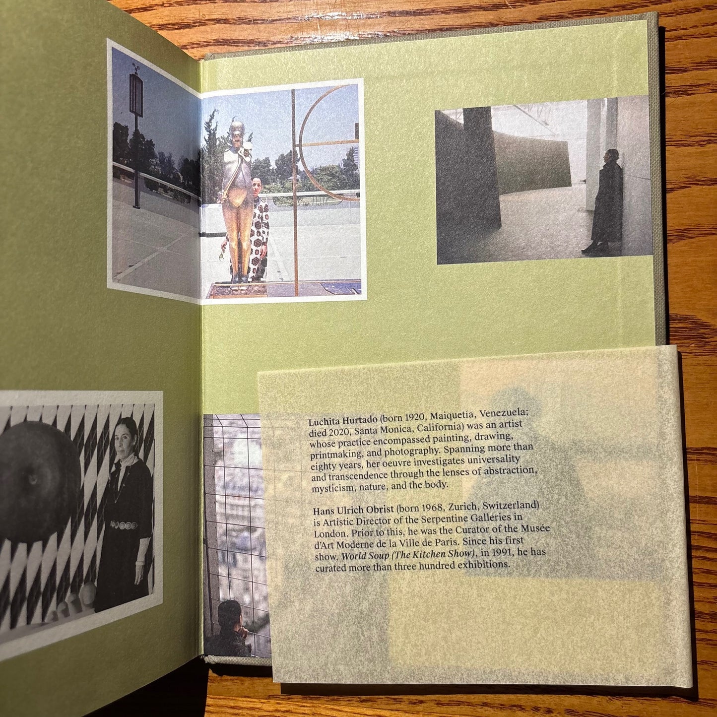 Hans Ulrich Obrist - Luchita Hurtado