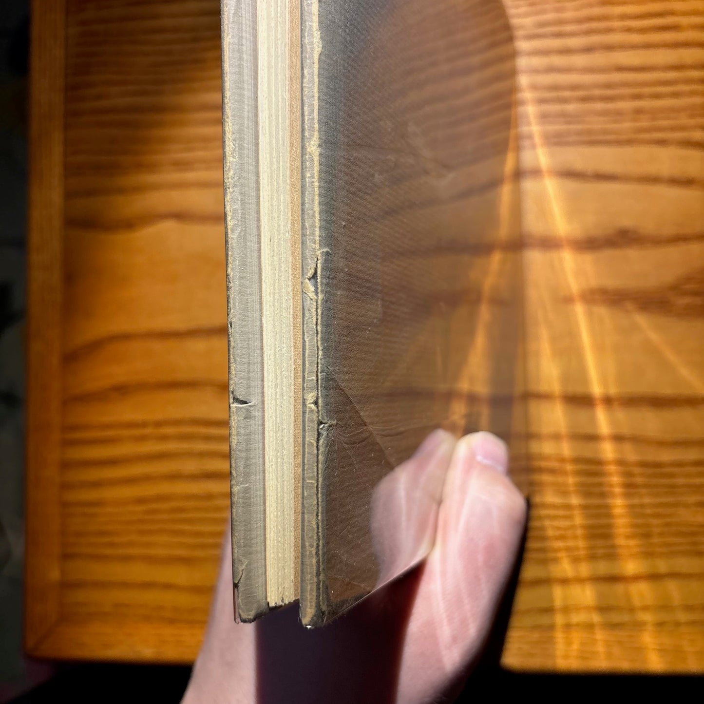 David Hockney, Wallace Stevens - The Blue Guitar - First Edition