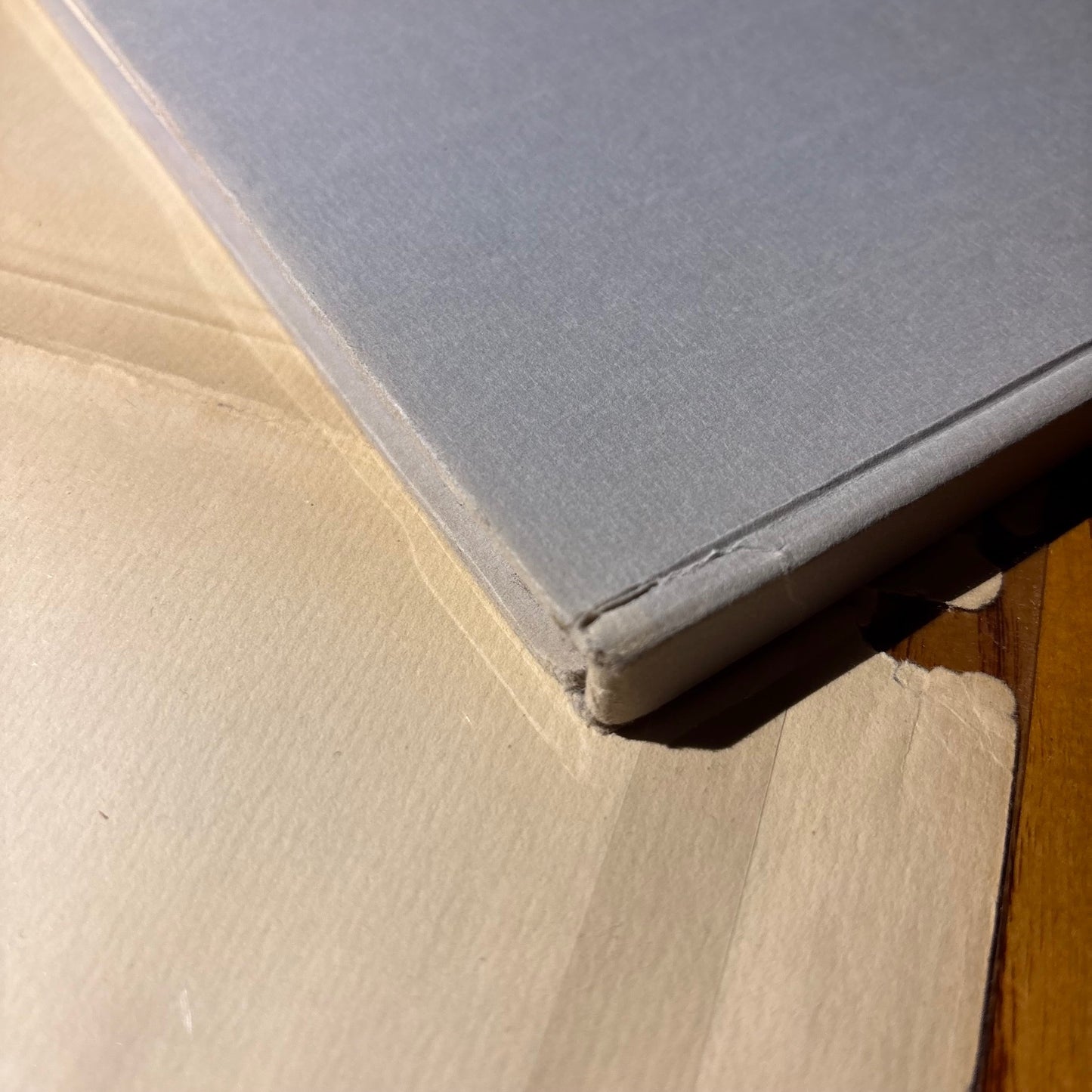 David Hockney, Wallace Stevens - The Blue Guitar - First Edition