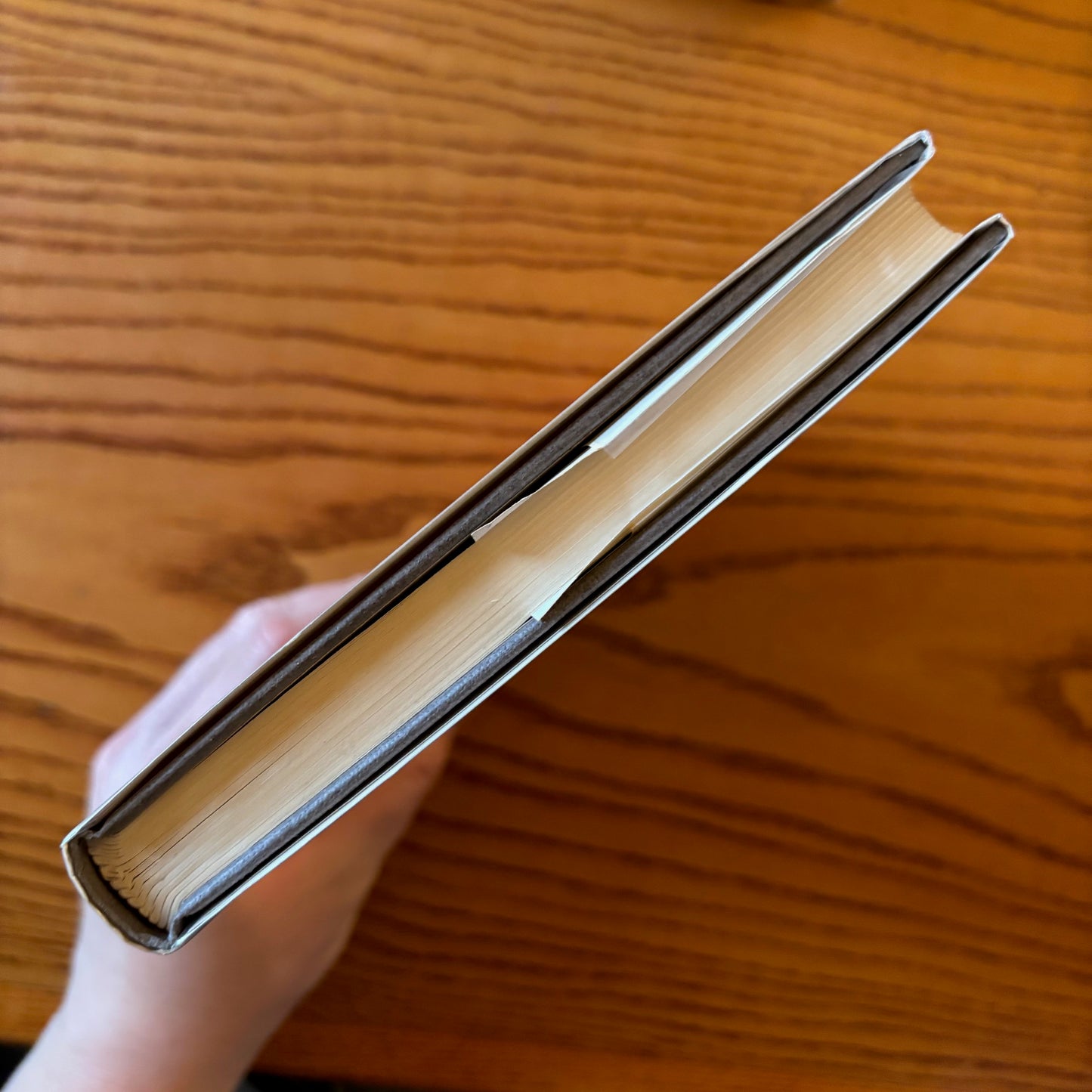 Alexander Blok - The Twelve and Other Poems - First Edition