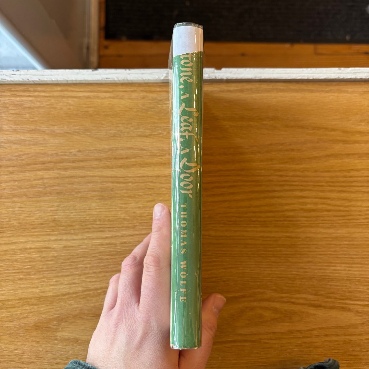 Thomas Wolfe - A Stone, A Leaf, A Door