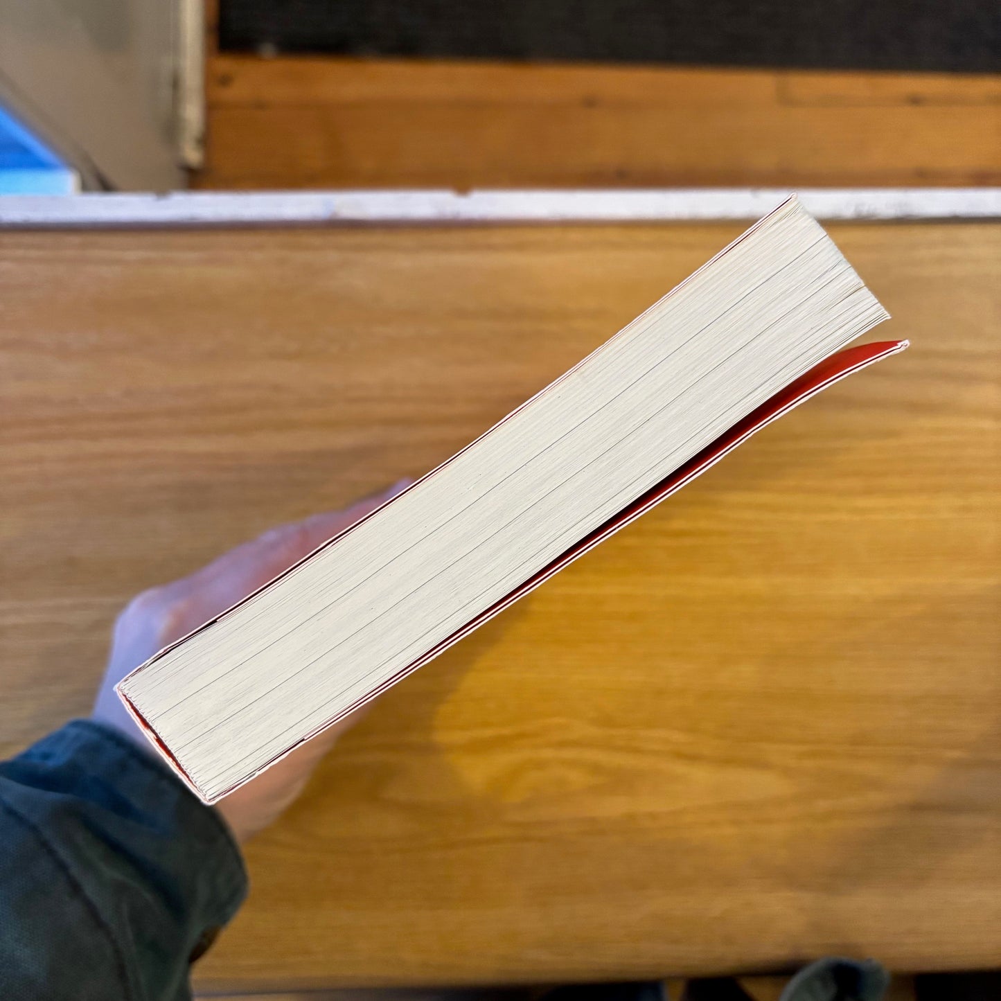 Protest.: The Aesthetics of Resistance - First Edition