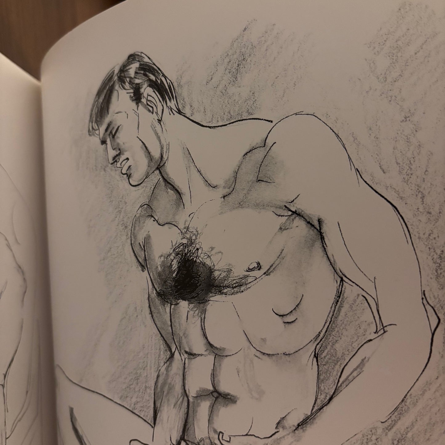 Der Mann in Der Kunst, Band 5: Ed Cervone
