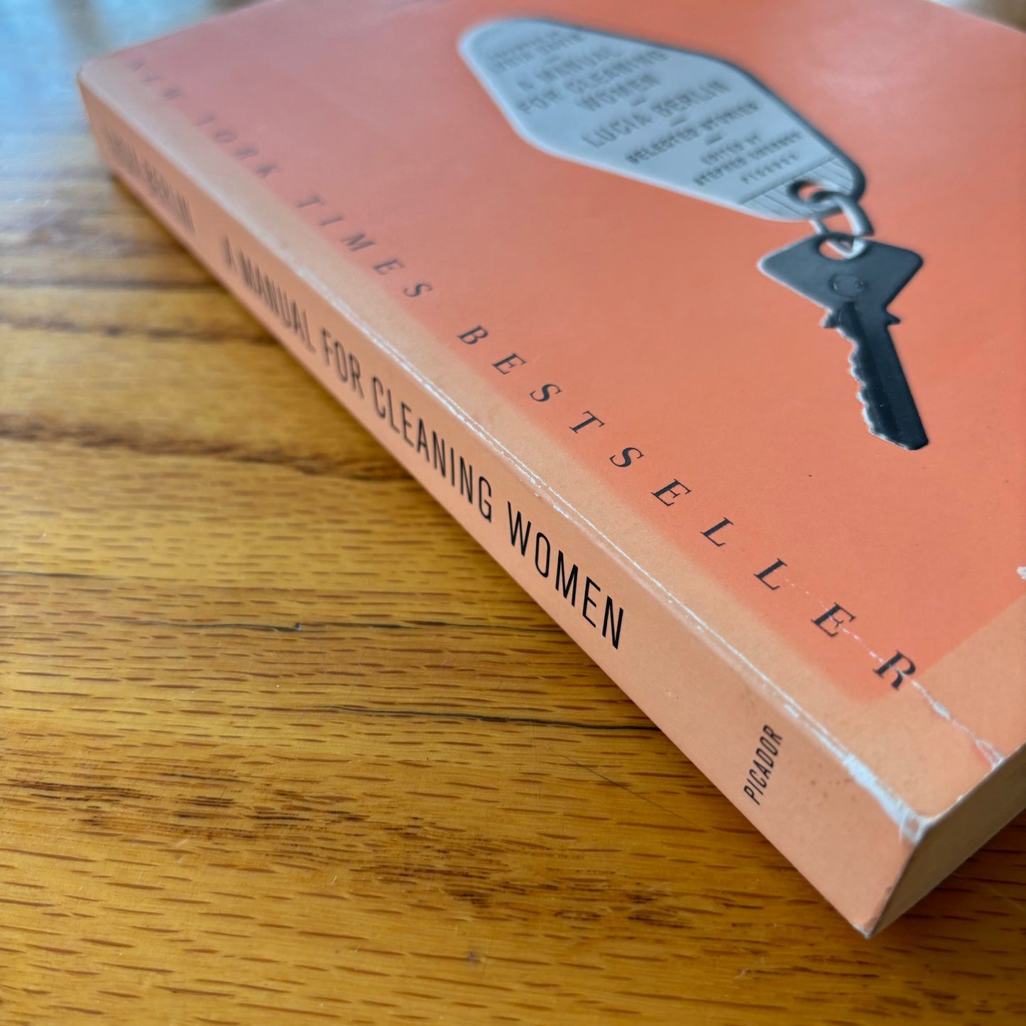 Lucia Berlin - A Manual for Cleaning Women