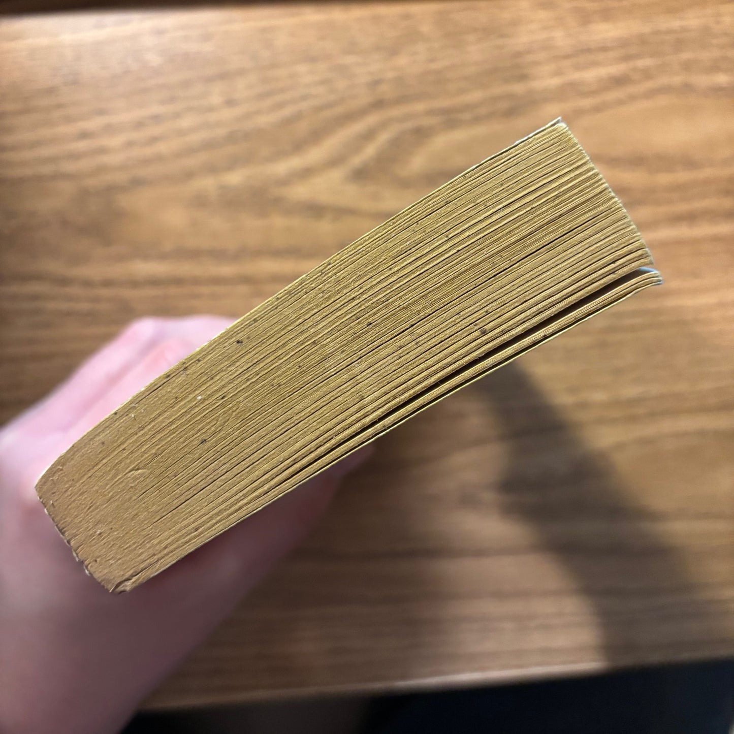 Lisa W. Cantrell - The Manse - First Edition