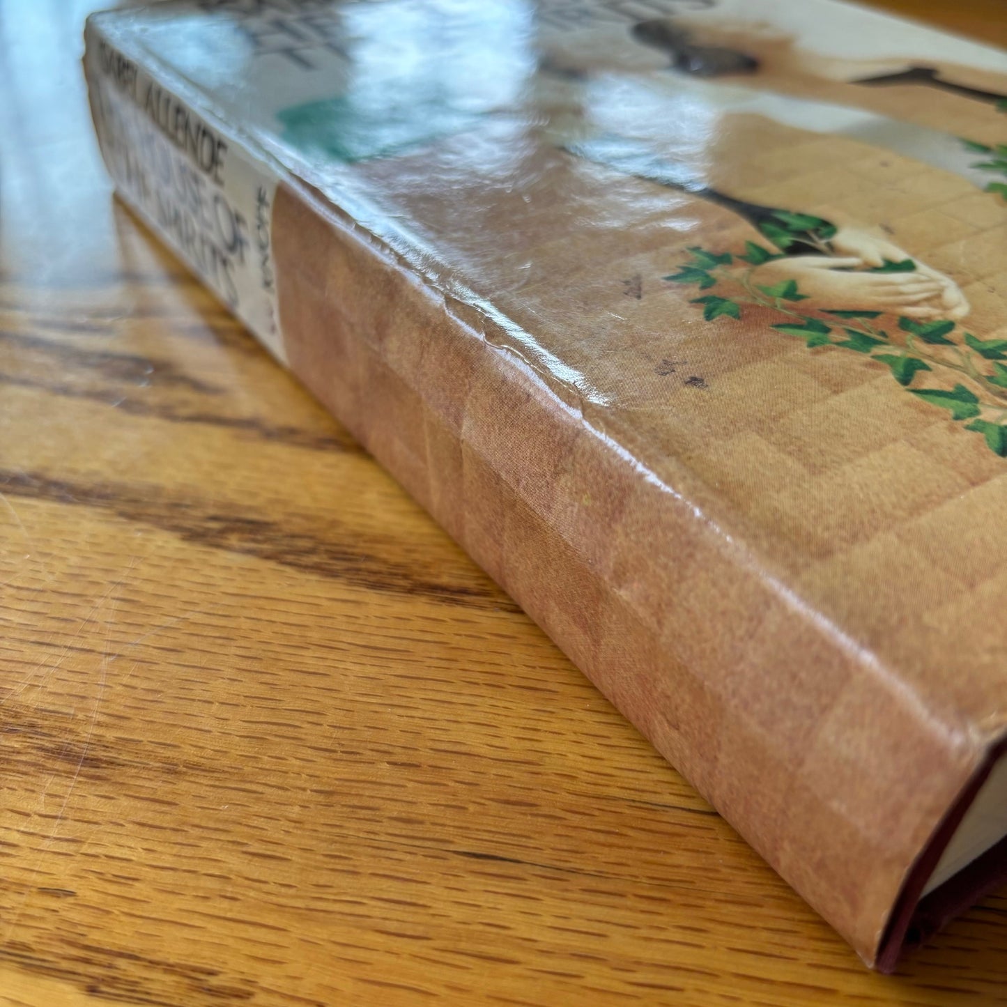Isabel Allende - The House of the Spirits - First Edition