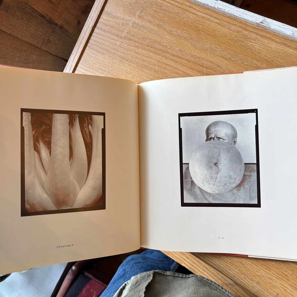 Olivia Parker - Signs of Life - First Edition