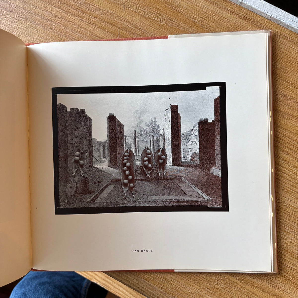 Olivia Parker - Signs of Life - First Edition
