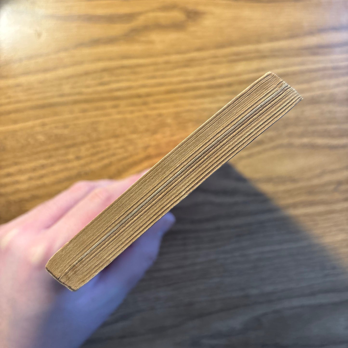 Andrew Tomas - We Are Not the First - First Edition Paperback