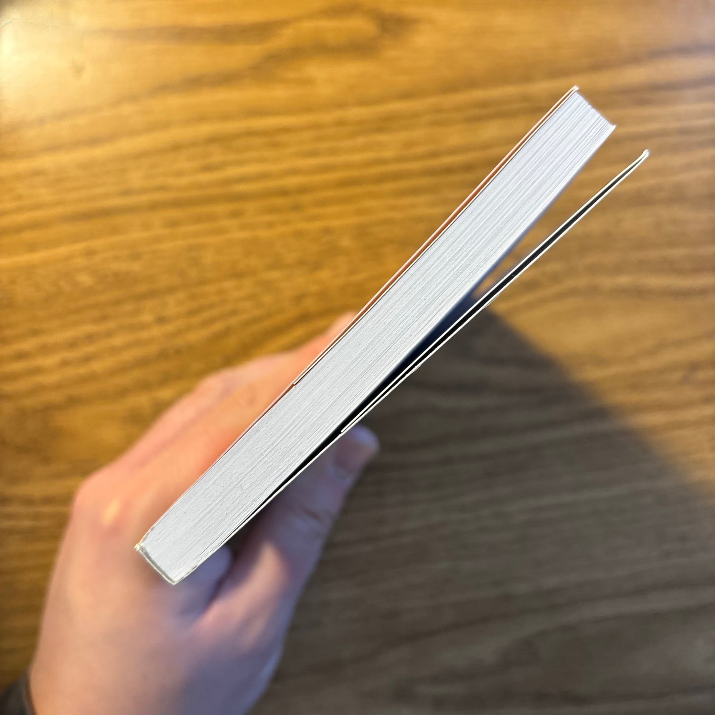 Remedios Varo - Letters, Dreams & Other Writings - First Edition