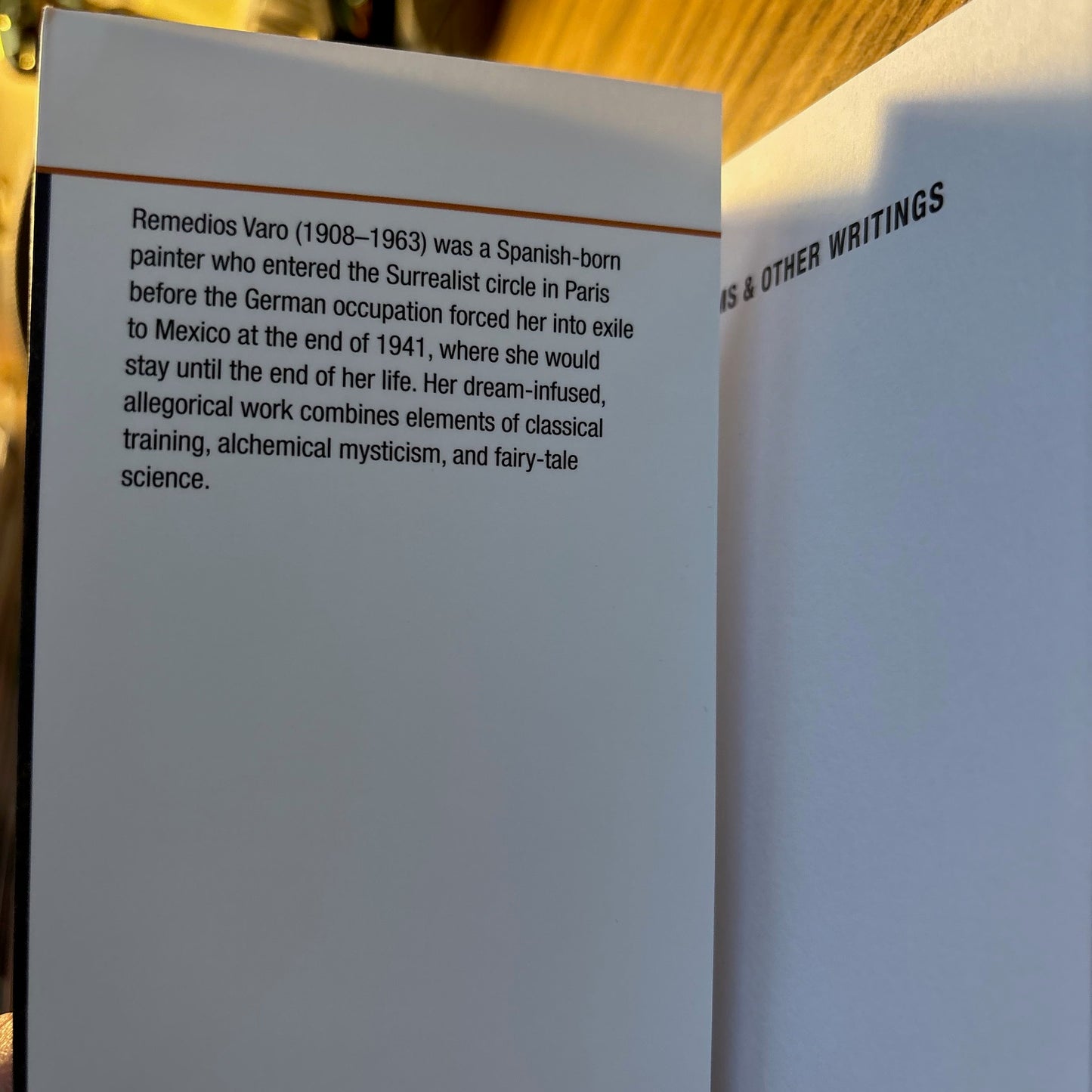 Remedios Varo - Letters, Dreams & Other Writings - First Edition