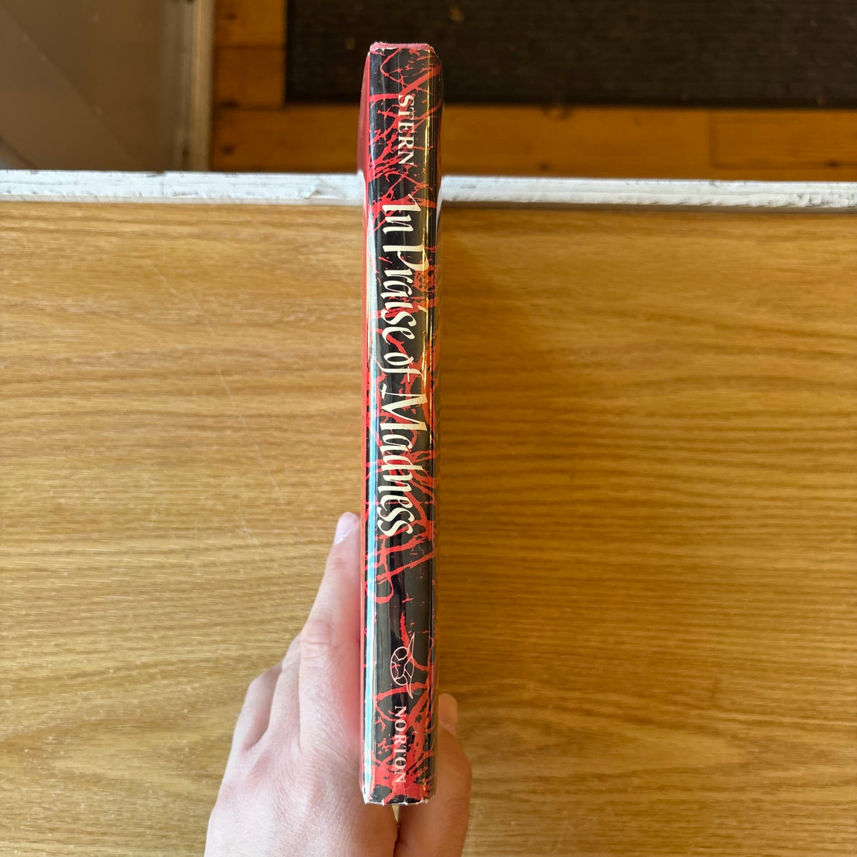 Paul J. Stern - In Praise of Madness: Realness Therapy and the Self Reclaimed - First Edition