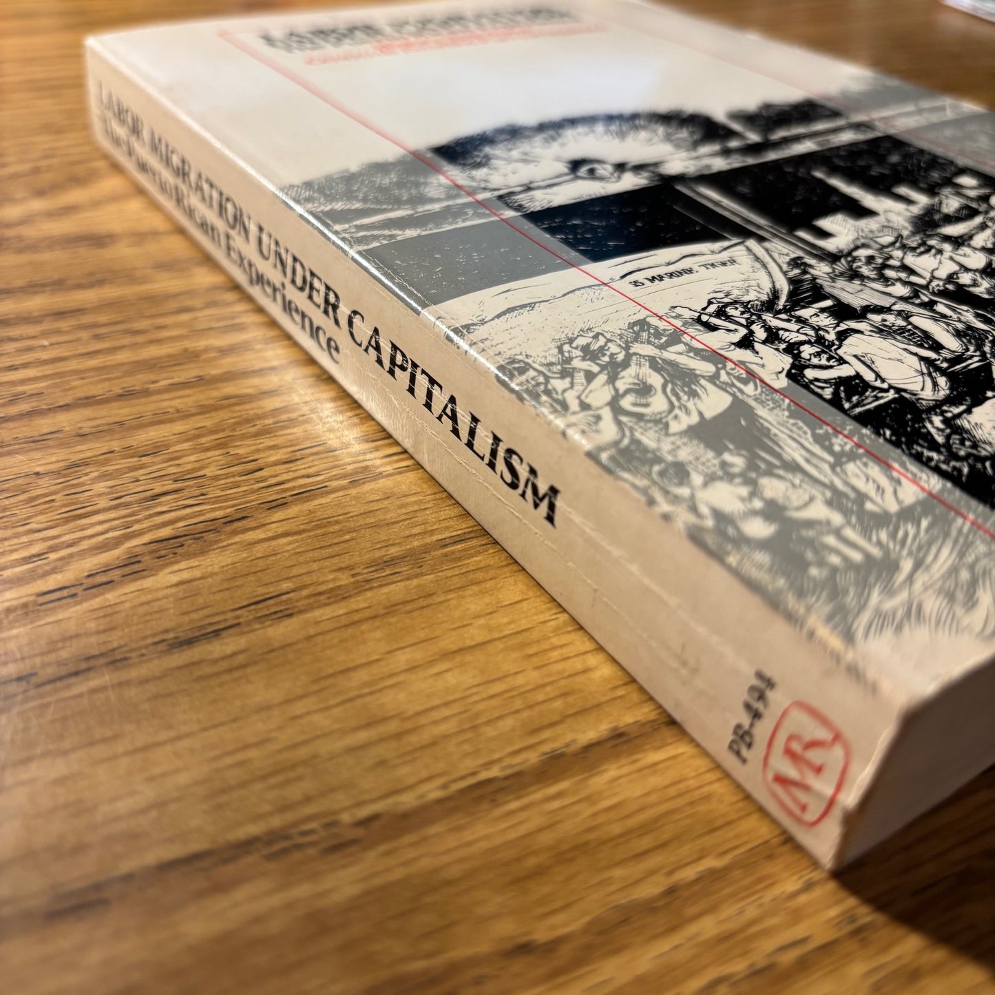 Labor Migration Under Capitalism: The Puerto Rican Experience - First Edition Paperback